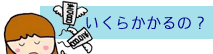 いくらかかるの?