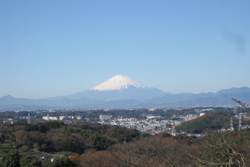 関東の富士見百景とも言われる瀬上市民の森から見る富士山